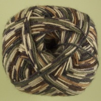 WYS - Signature 4 Ply - Country Birds - 877 Owl